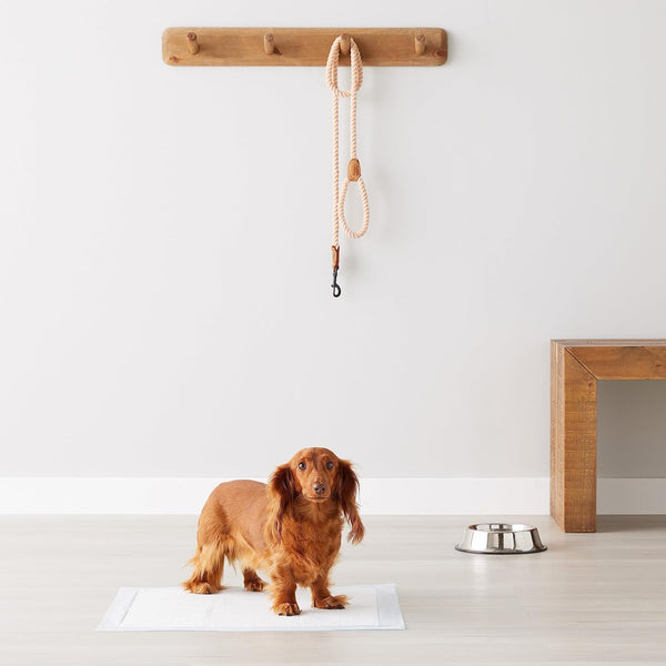 Pet Pee Pads for Dogs & Cats — Super Absorbent Disposable Puppy Training Pads, Leak-Proof Dog Potty Pads with Quick-Dry Surface, Heavy-Duty Bulk Pack for Indoor & Outdoor Use