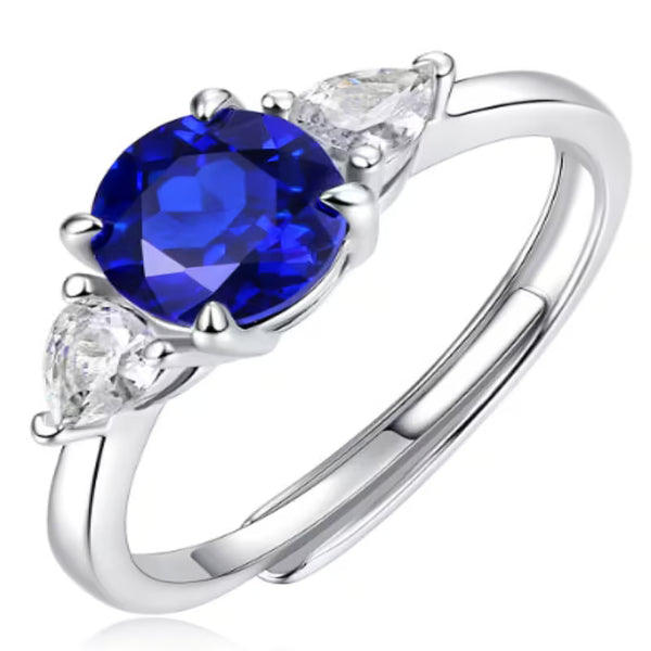 New Fashion Niche Adjustable Open Ring 925 Sterling Silver – Anti-Tarnish Elegant Band for Women